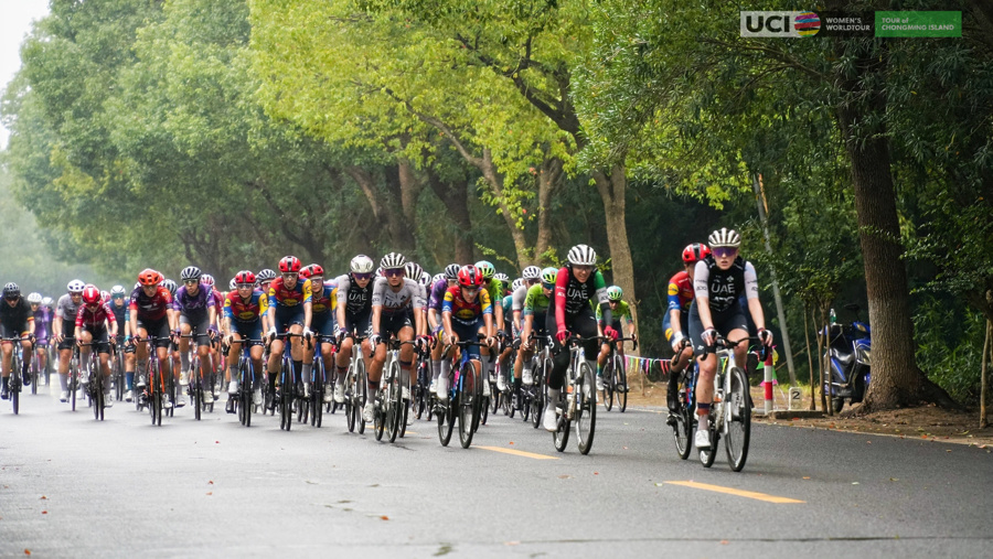 森林公园的 森林公园的