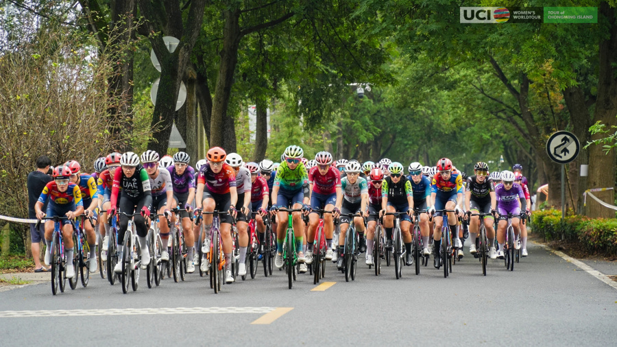 车运动发展 车运动发展